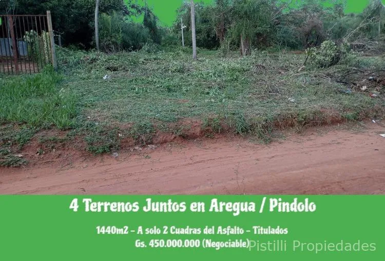 VENDO TERRENO EN AREGUA - PINDOLO — фото 2