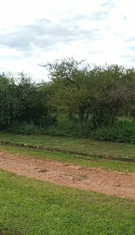 Terreno en venta en Costa Lago, Ypacaraí — foto 2