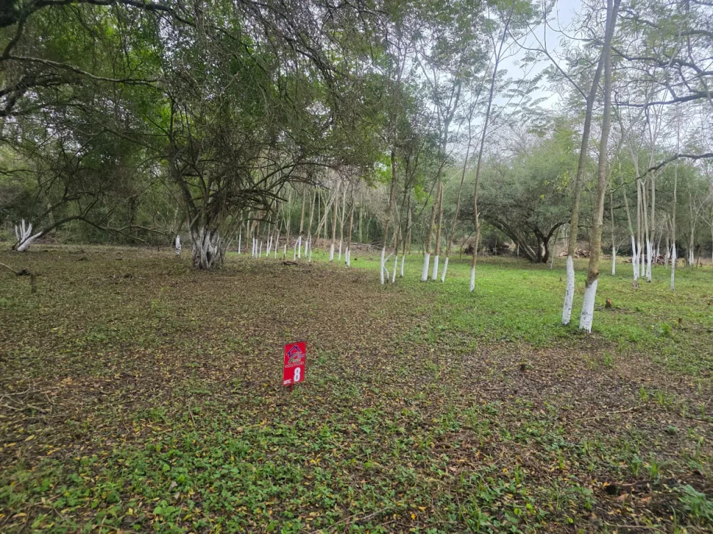 Terrenos Tarumandy — foto 3