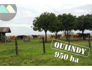 VENDO!!! ESTANCIA EN QUIINDY, DEPARTAMENTO DE PARAGUARI