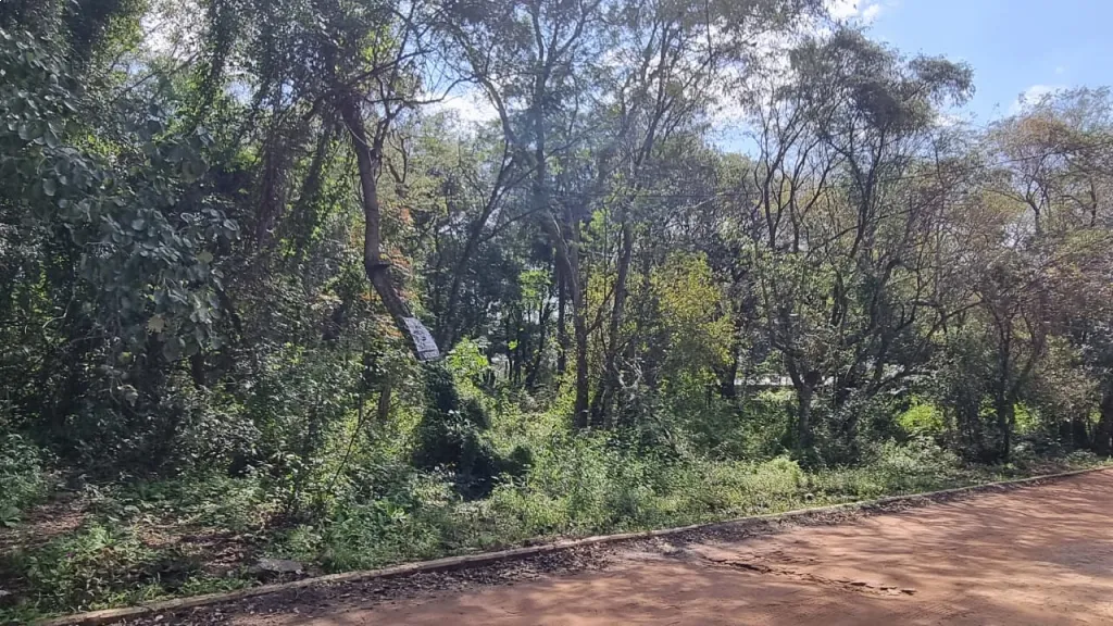 Vendo terreno en San Bernardino, Zona Ciervo Cua, cercanía Condominios Ayres — foto 2