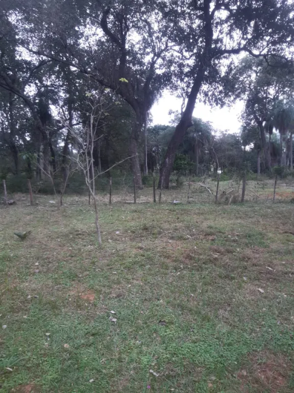 33 HA. DE CAMPO EN LOMA GRANDE - DEPARTAMENTO DE CORDILLERA — foto 2