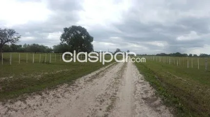 Oportunidad De Inversión Puerto O Arrozal Propiedad En Villa Oliva Paraguay Mas De 4000 Ha — foto 2