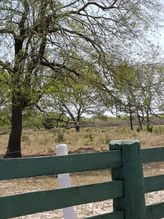 Oportunidad De Inversión Puerto O Arrozal Propiedad En Villa Oliva Paraguay Mas De 4000 Ha — foto 3