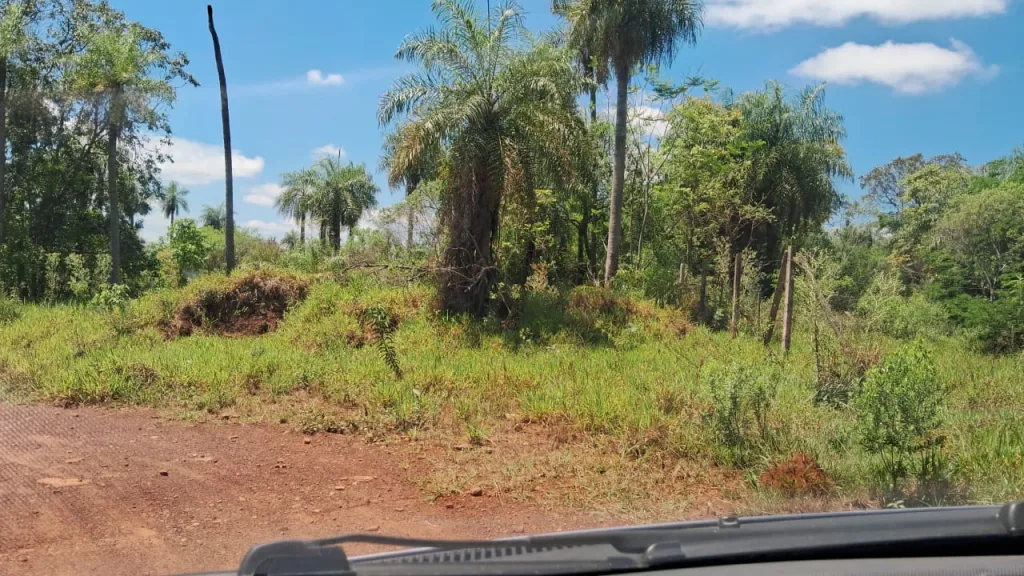 Propiedad de 4 hectareas con 7.182 m2 — foto 3