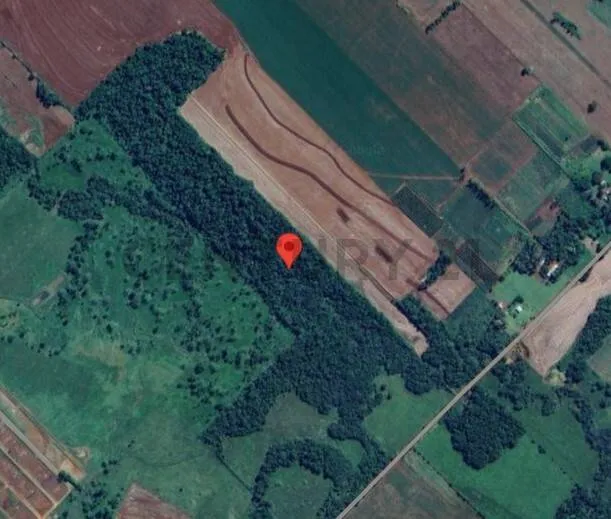 EN VENTA TERRENO DE 15 HECTAREAS EN ITAPUA ID: 37343 — foto 3