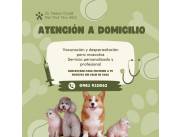 Veterinario a domicilio