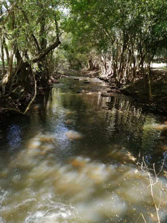 UN PARAISO PARA DISFRUTAR EN ITAPUA — foto 3