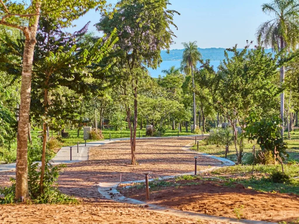 VENTA DE TERRENO EN CIERVO CUA SAN BERNARDINO MADRE SELVA — foto 2