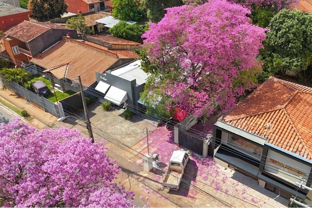 VENDO TERRENO LOCAL COMERCIAL SOBRE SAN MARTIN — foto 3
