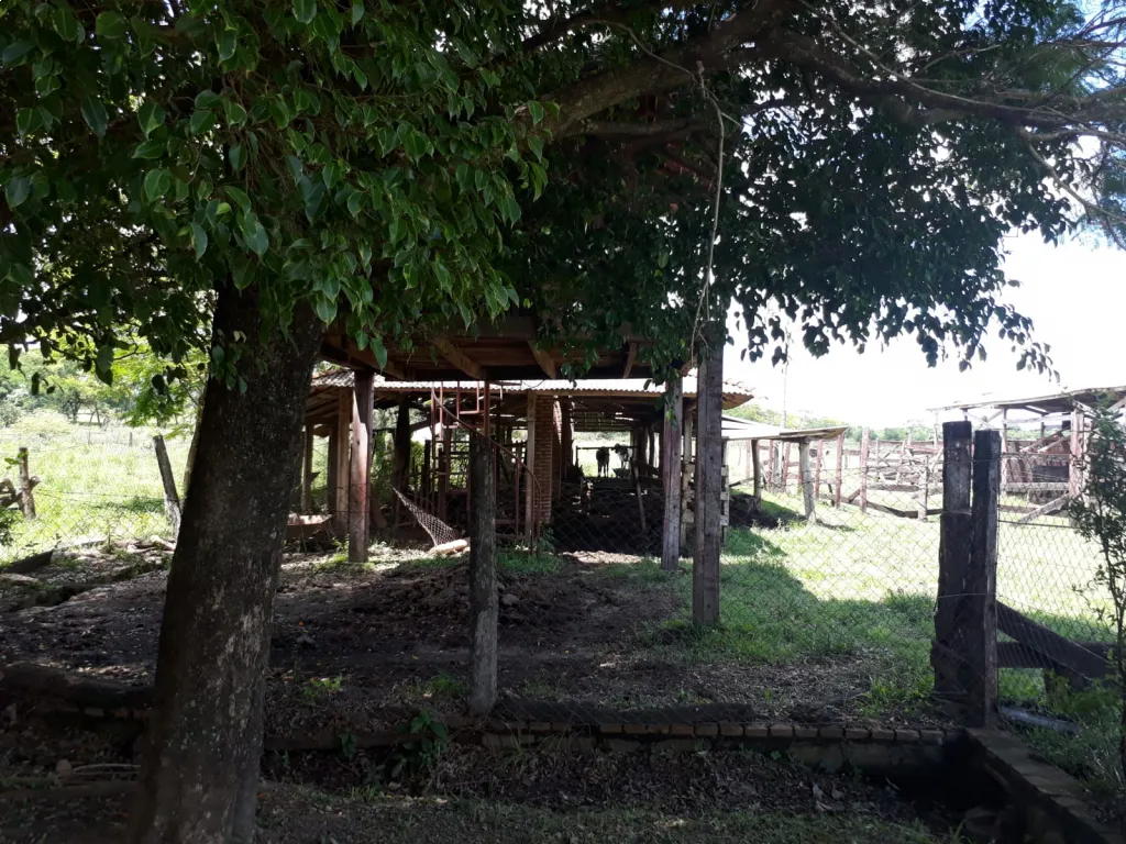 VENDO PROPIEDAD RURAL EN ARROYOS Y ESTEROS! — foto 2