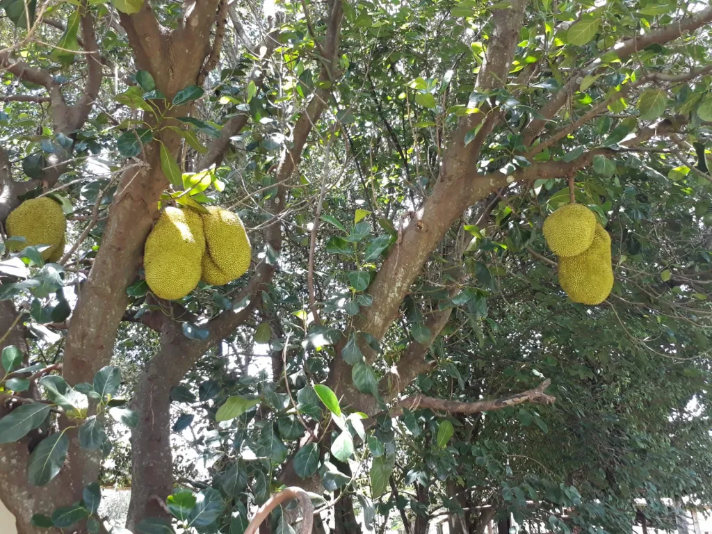 VENDO PROPIEDAD RURAL EN ARROYOS Y ESTEROS! — foto 3