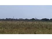 10 HA. CAMPO EN NUEVA ASUNCION (EX CHACO I)-ZONA PUERTO AMARRADERO