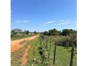 Vendo propiedad de 250 hectáreas en loma grande
