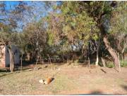 En Venta Terreno 372 m2 Cañada Garay Luque ID 38793
