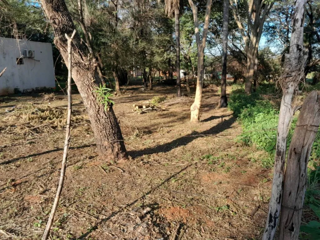 En Venta Terreno 372 m2 Cañada Garay Luque ID 38793 — foto 2