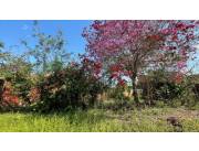 En Venta Terreno 398 m2 en Limpio ID 38761