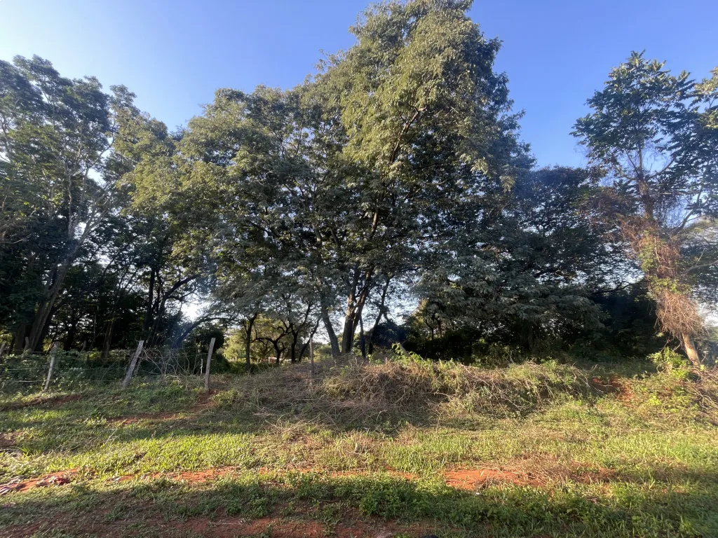 HERMOSO TERRENO EN MBOKAJATY DE ÑEMBY — foto 2