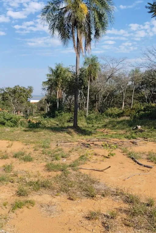 VENDO TERRENO EN SAN BERNARDINO CON VISTA AL LAGO!! — foto 3