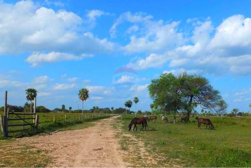 VENTA ESTANCIA S RUTA TRANSCHACO KM 130 PTE.HAYES — foto 2