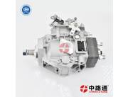 Ve Fuel Pump 0 445 020 508 n VE Diesel Injection Pump Camplate 1466110619