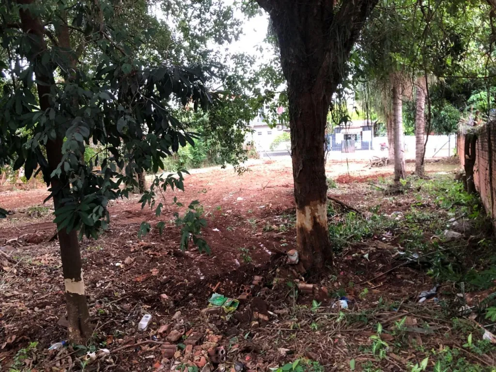 Terreno en venta - 16m x 35m – Barrio Ciudad Nueva - Zona KM 7, Ciudad del Este — foto 2