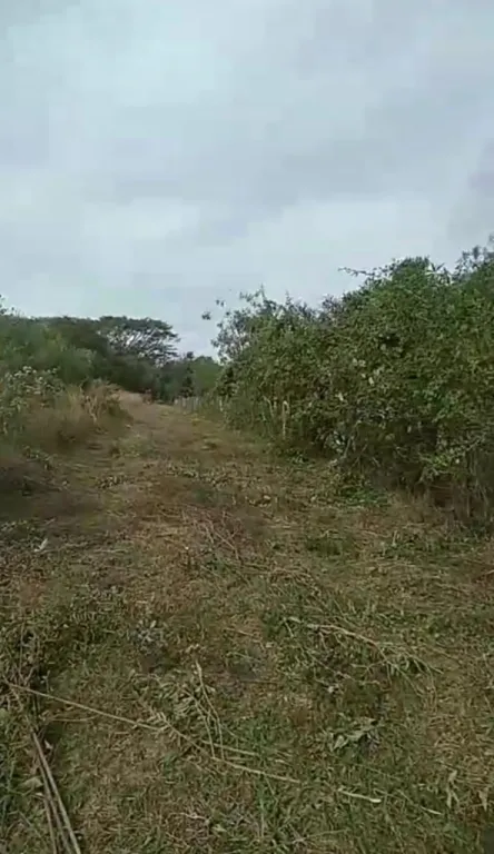 VENDO 7 HECTAREAS EN PARAGUARI CERRO LEON COD 4678 — photo 2