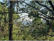 Vendo Terreno en San Bernardino, con vista al lago