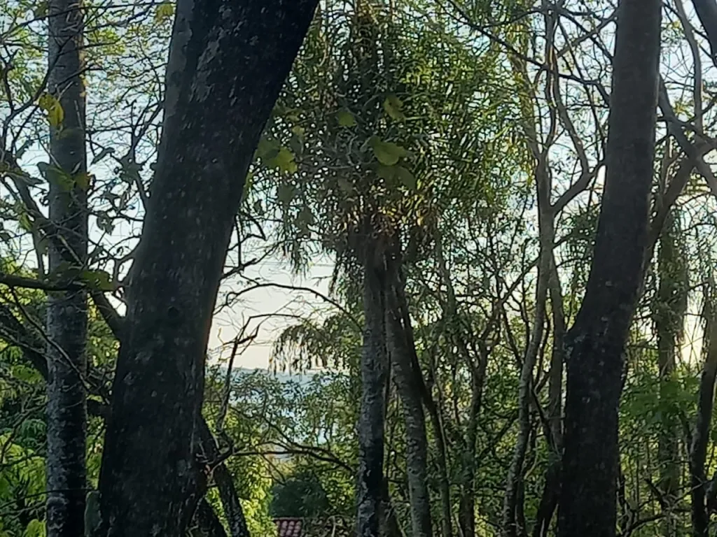 Vendo Terreno en San Bernardino, con vista al lago — foto 2