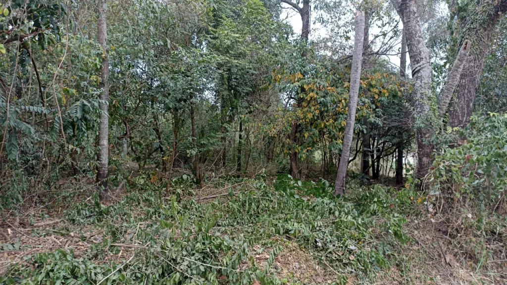 Vendo Terreno en San Bernardino, con vista al lago — foto 3