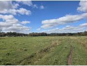 Campo Agrícola/Ganadero en San Juan Nepomuceno - 62 Ha.