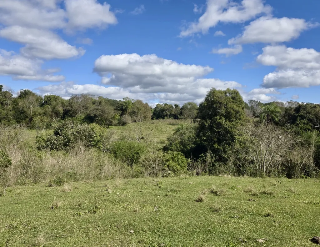 Campo AgrícolaGanadero en San Juan Nepomuceno - 62 Ha. — foto 2