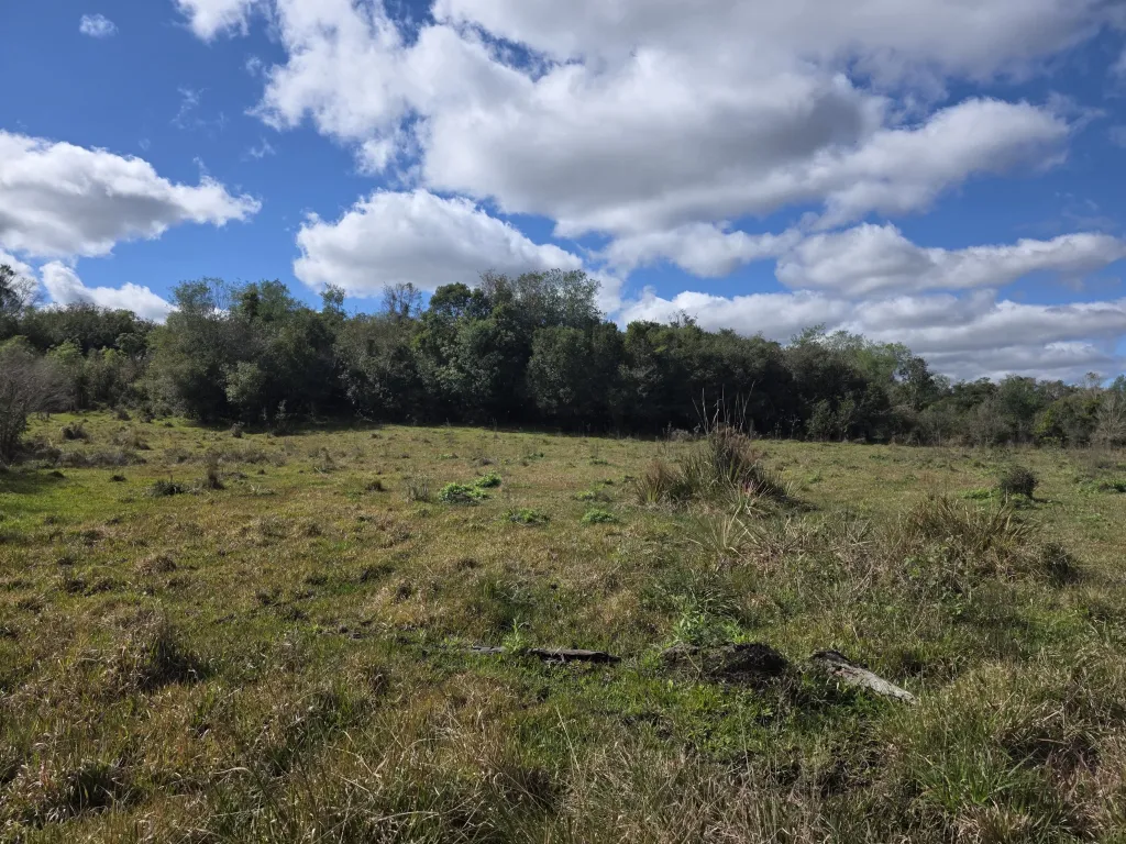 Campo AgrícolaGanadero en San Juan Nepomuceno - 62 Ha. — foto 3