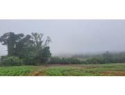 Campo Agrícola/Ganadero en San Juan Nepomuceno - 20 Ha.