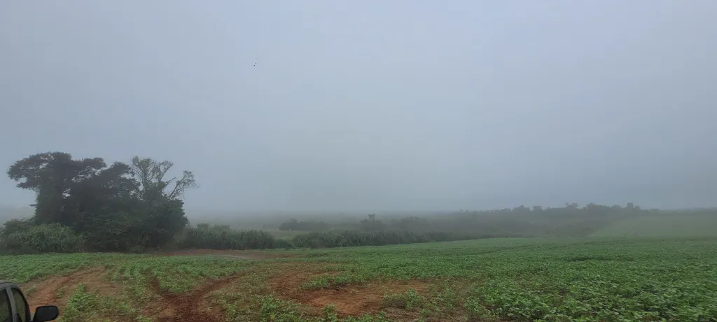 Campo AgrícolaGanadero en San Juan Nepomuceno - 20 Ha. — foto 2