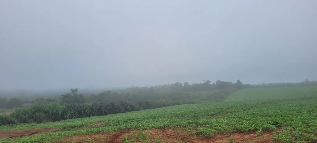 Campo AgrícolaGanadero en San Juan Nepomuceno - 20 Ha. — foto 3