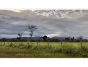 300 HA. ESTABLECIMIENTO GANADERO ZONA BELLA VISTA-AMAMBAY