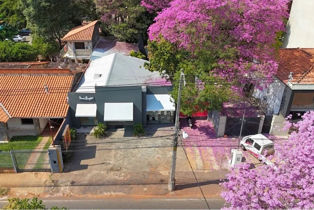 VENDO TERRENO CON LOCAL COMERCIAL SOBRE SAN MARTIN — foto 3