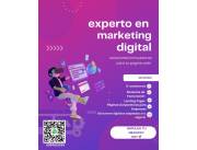 Diseño y Desarrollo Web Profesional