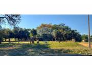 Terreno en Venta en Central Luque