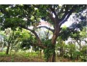 Terreno en Venta en Central Villeta VALLE PO.I Villeta