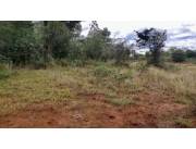 5HA. DE CAMPO EN BENJAMIN ACEVAL - CHACO
