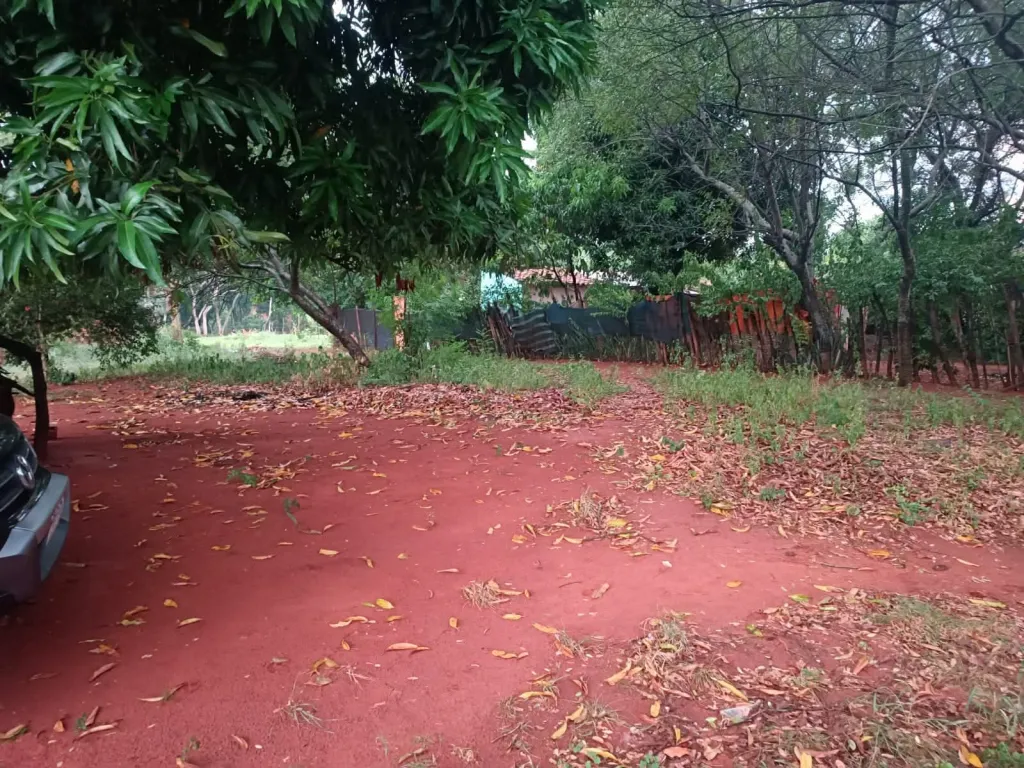 VENDO TERRENO EN NEMBY BARRIO MBOCAYATY COD 5471 VALOR: 100.000.000 GS 📐 Medidas: 12 x — foto 2