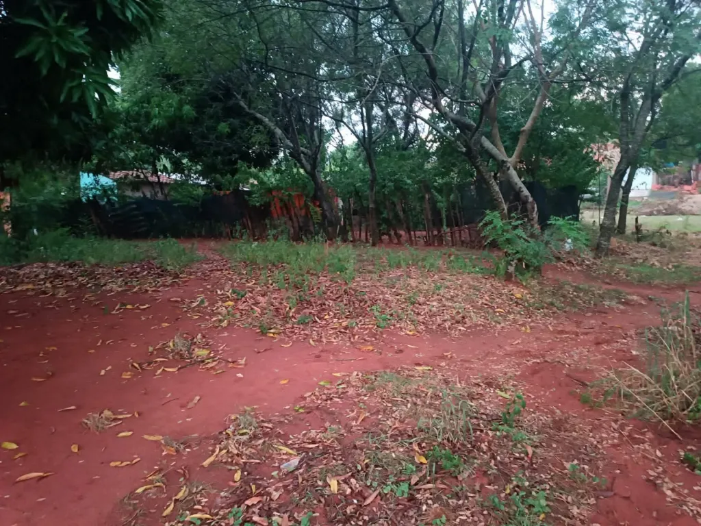 VENDO TERRENO EN NEMBY BARRIO MBOCAYATY COD 5471 VALOR: 100.000.000 GS 📐 Medidas: 12 x — foto 3