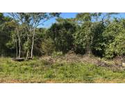 En Venta 6 Terrenos Juntos Pindolo Areguá ID 39124