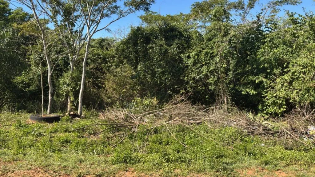 En Venta 6 Terrenos Juntos Pindolo Areguá ID 39124 — foto 2