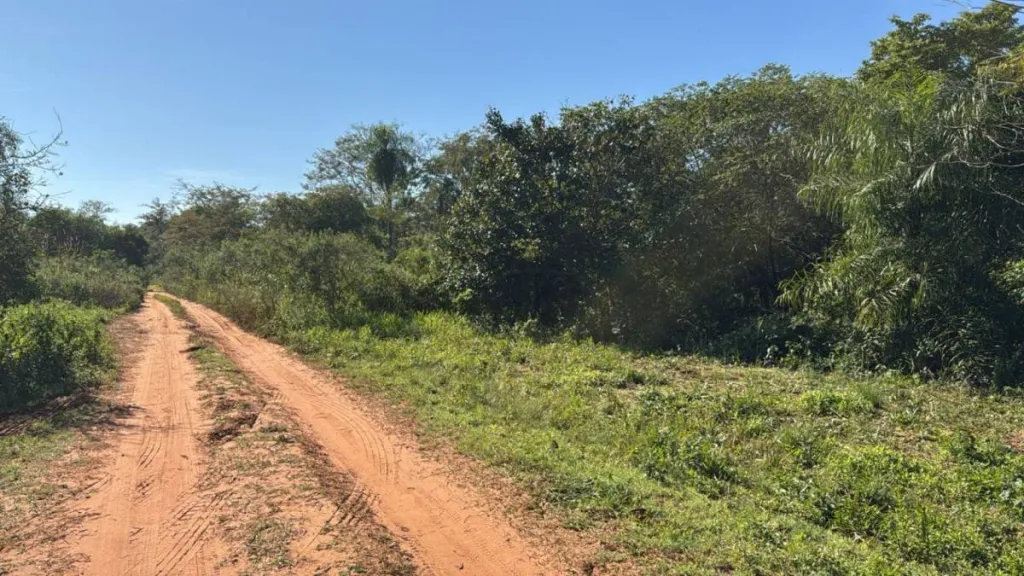 En Venta 6 Terrenos Juntos Pindolo Areguá ID 39124 — foto 3