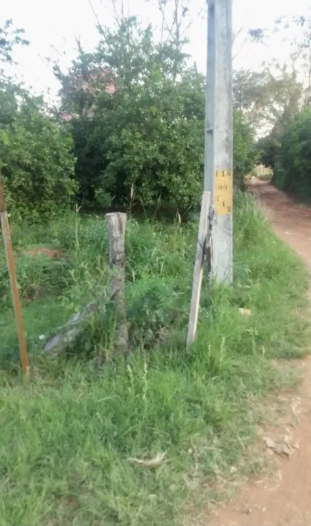 TERRENO EN ARROYOS Y ESTEROS - CIA. SAN ROQUE — foto 3