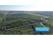 VENDO 72 HECTAREAS EN ITAPUA TRINIDAD