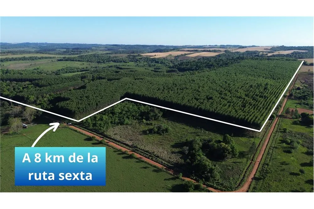 VENDO 72 HECTAREAS EN ITAPUA TRINIDAD — Foto 3